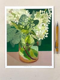 Hydrangeas and Sage - Archival Print