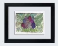 Image 1 of Hyacinth Garden