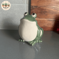 Frog Planter Pot