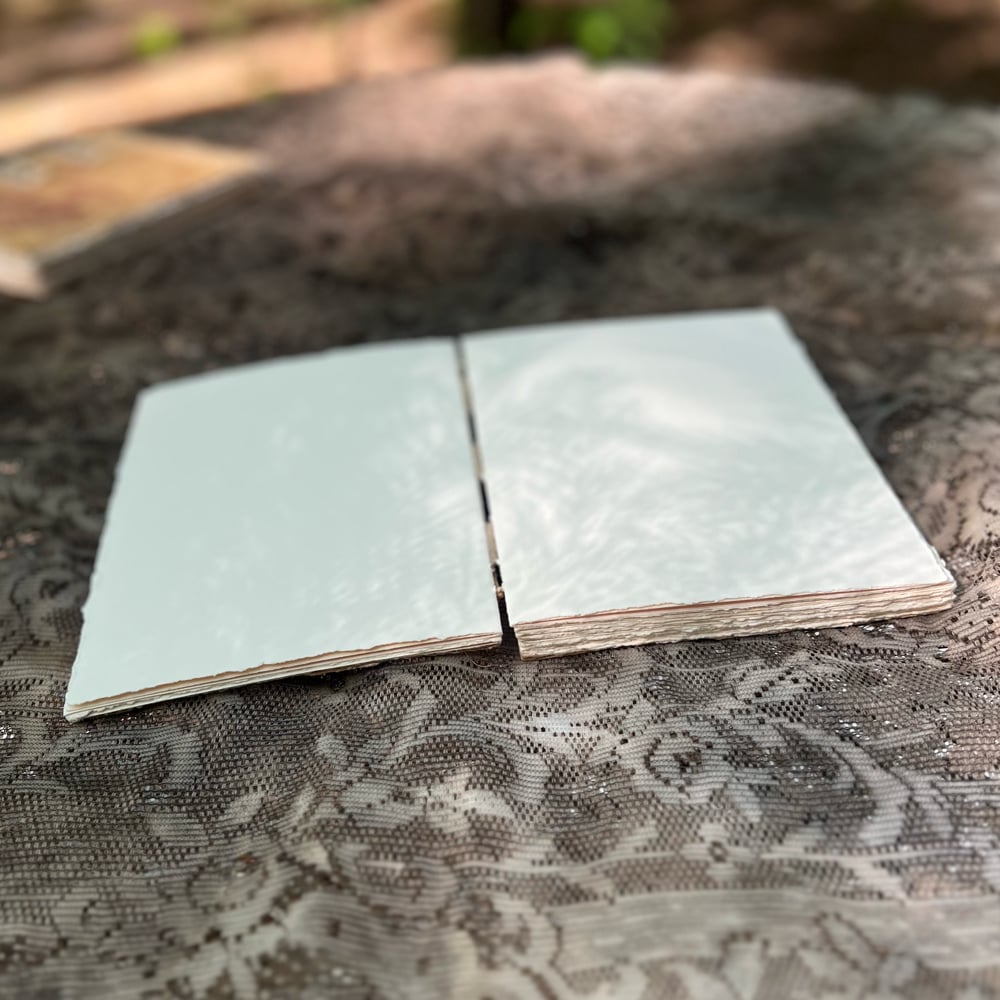 Stonehenge mushroom sketchbook with X’s