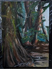 Image 1 of The Path to Marymere