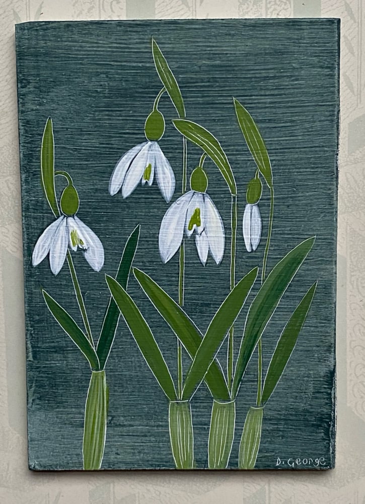 Image of Snowdrop study A