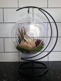 Image 1 of Glass Globe Terrarium Set With Natural Quartz Crystal & Moon Stand - Everything Included 