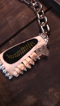 Image 3 of Sheep jaw with fern inlay statement necklace