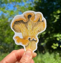 Chanterelle sticker 