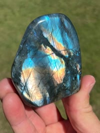 Image 1 of Labradorite Freeform #2210