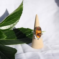 Image 2 of Montana Agate Ring