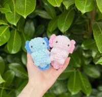 Image 1 of Baby Axolotol Plush