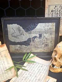 Image 1 of 1800s - Japanese collection with preserved webs. 7