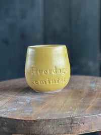 Hverdagsfeminist Citrus