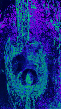 Image 1 of Emergence