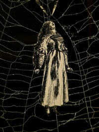 Image 2 of 1800s Gustave Dore Spiders - with real preserved webs -F
