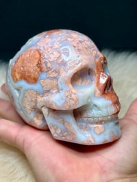 Image 10 of Druzy Pink Petal Agate Skull Carving #2240