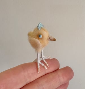 Image of Very Tiny Chicken Baby