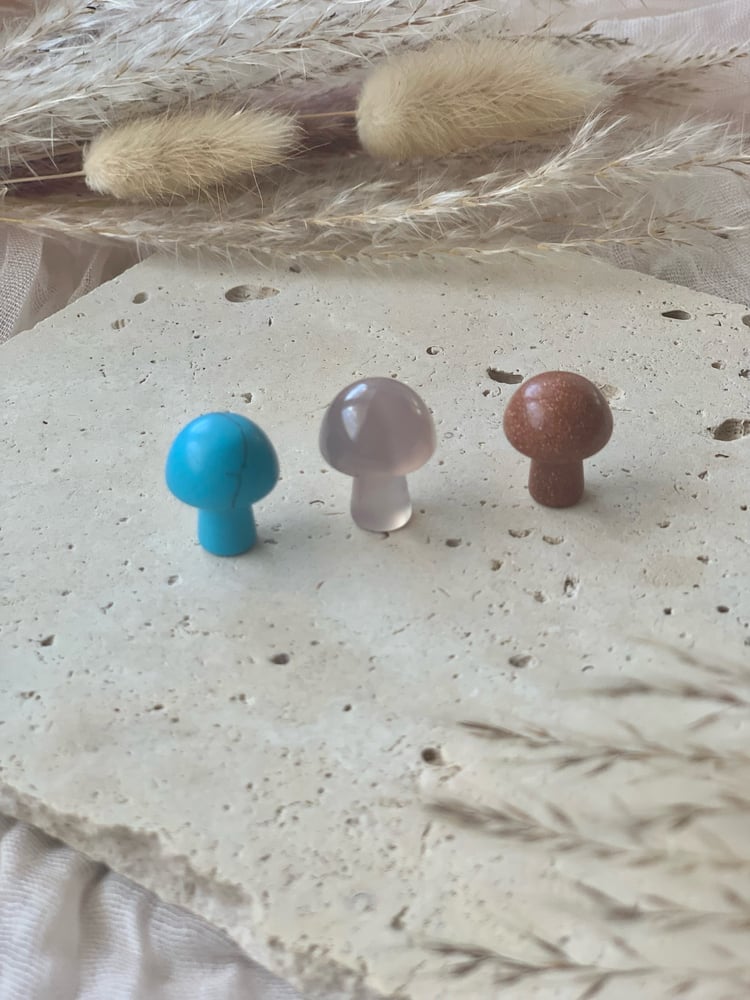 Image of Mini Mushroom Carvings (intuitively chosen) 