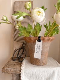 Image 2 of Large Frill Rustic Pot