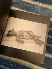 Image 8 of Matsui Fuyuko "Becoming Friends With All The Children in The World," 2011