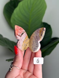 Image 7 of CHOOSE YOUR OWN UNICORN JASPER BUTTERFLIES