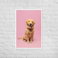 Image 2 of Framed Poster