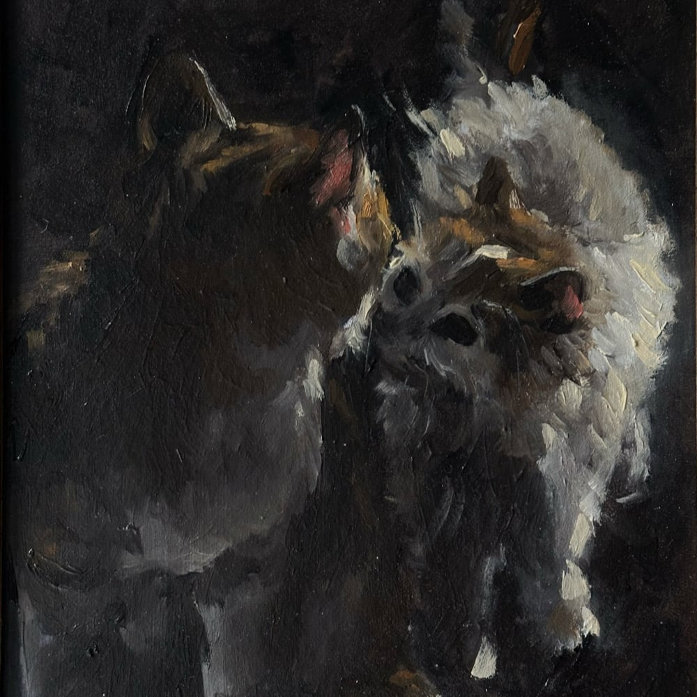 Image of pair of cats 