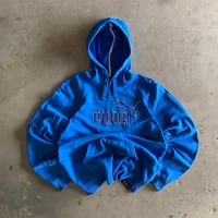 Image 1 of PUMA SPELLOUT HOODIE