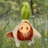 Small Strawberry Seedling