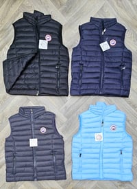 Image 3 of Bodywarmer cg