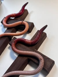 Image 2 of Wall Worm Crosses (upright & inverted)