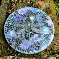 Image 1 of Dragonfly Pendulum Board 