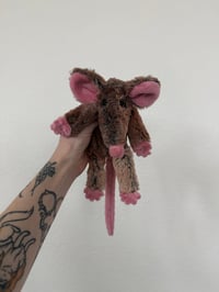 Image 1 of Mystery Rat Pre-Orders 