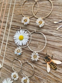 Image 4 of Moonstone Daisy Hoops