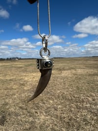 Image 4 of Badger claw/ black star diopside 
