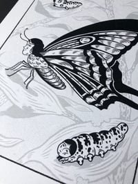 Image 2 of [Print A5] Papillon