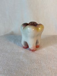 Image 4 of Decaying Tooth holder