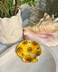 Image 1 of Scallop Trinket Dish SD104