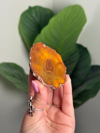 Image 2 of CONDOR AGATE -ARGENTINA- I