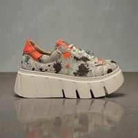 Image 1 of MACIEJKA 06891 MULTI