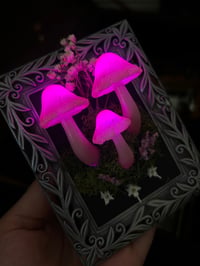 Image 1 of Small silver led mushroom frame