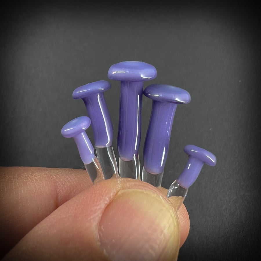 Image of 5 Purple Mushroom Plant Spikes