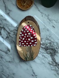 Mushroom
