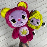 Image 4 of MUNCHKIN & CHARM- Sugar Cane Duo