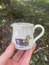 Duck decorated Mini Jugs