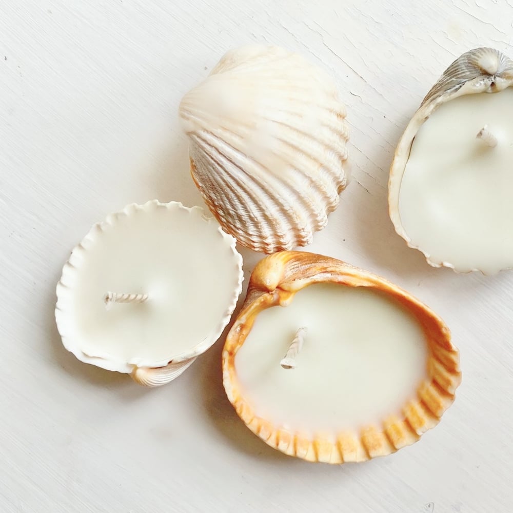 Image of Sea Shell Candle