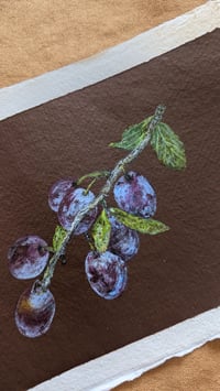 Image 3 of A branch of plums 