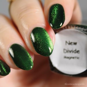 Image of New Divide