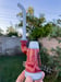 Image of Wig Wag Sipper 