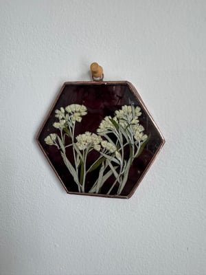 Hexagon with Pearly Everlasting 