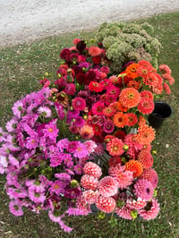 Image 3 of Blooming Bucket 