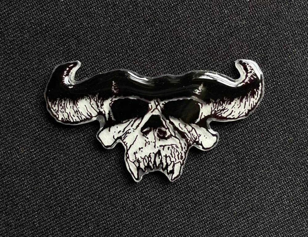 Image of Skull Pin