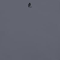 Image 2 of GYM TEE - DENIM